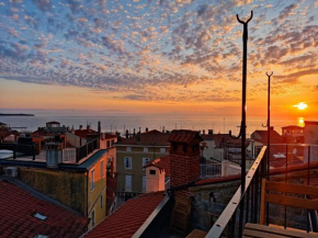 Vista